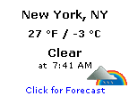 �˥塼�衼����ŷ��